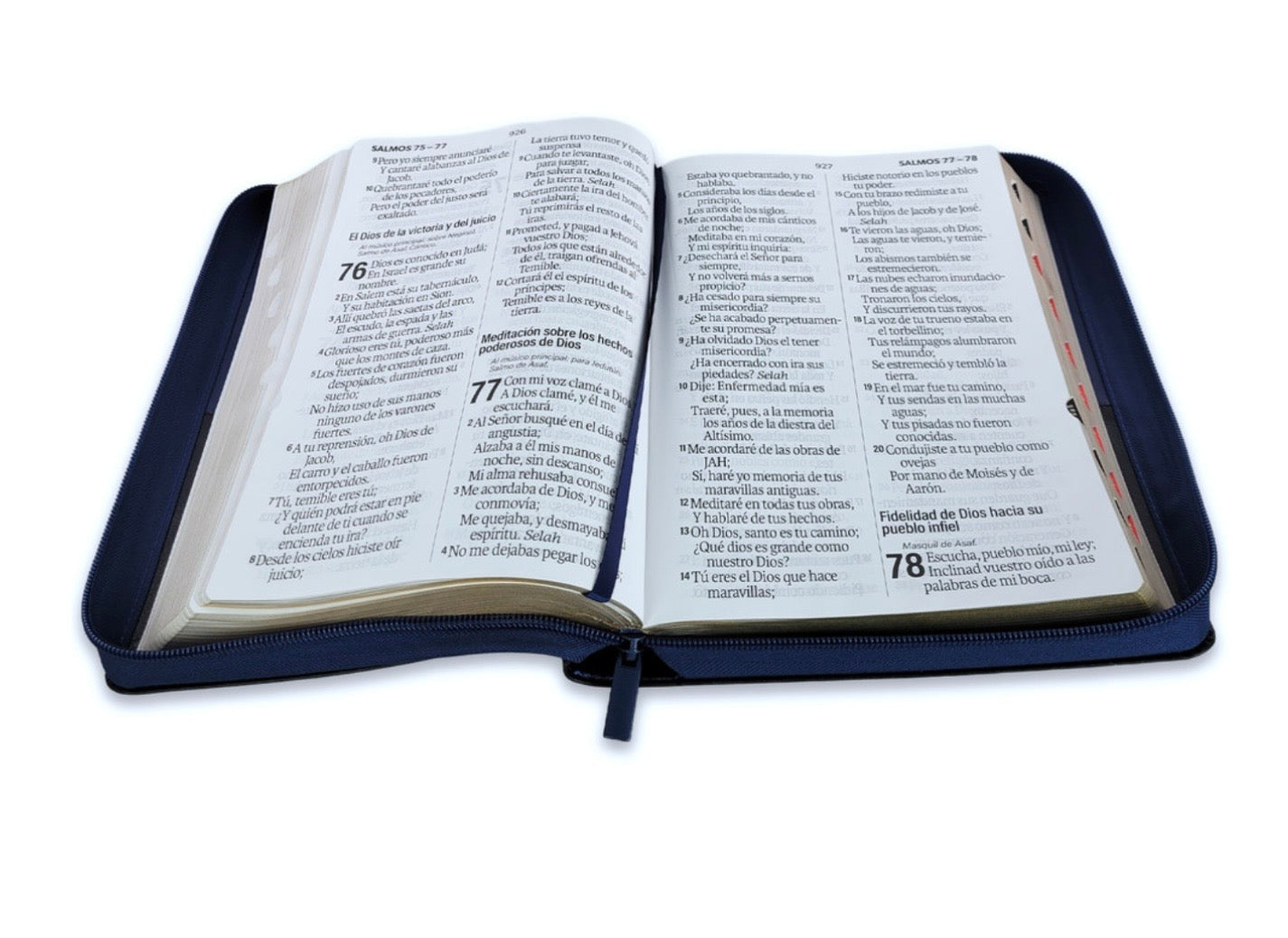 Biblia Letra Súper Gigante 19pts Con Cierre/Index Azul/Negro Brújula RV1960