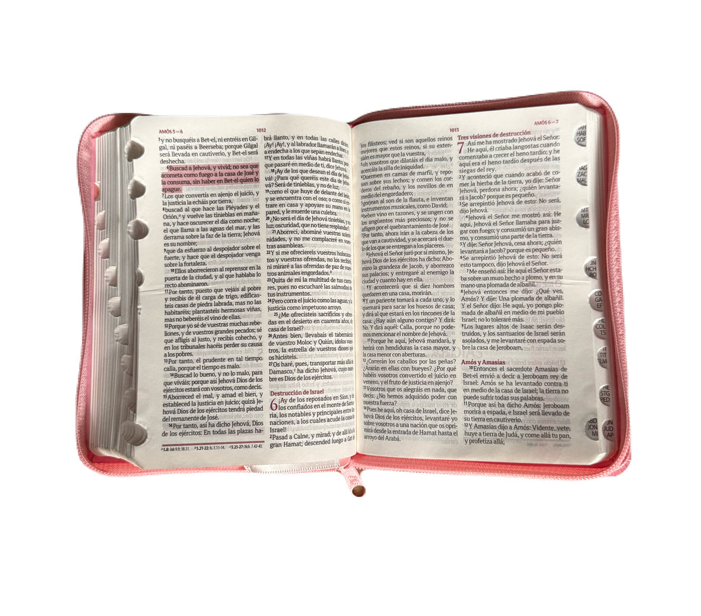 Santa Biblia Quinceañera