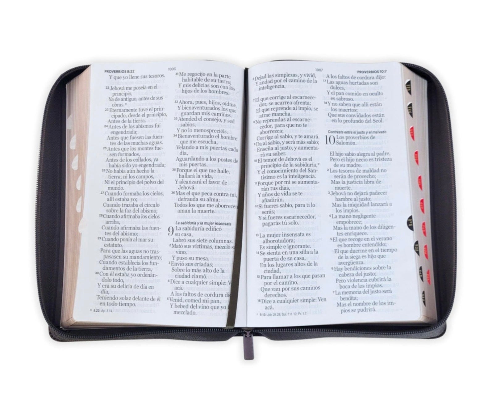 Biblia Letra Gigante 14pts Con Cierre/Index RV1960 Arca De La Alianza