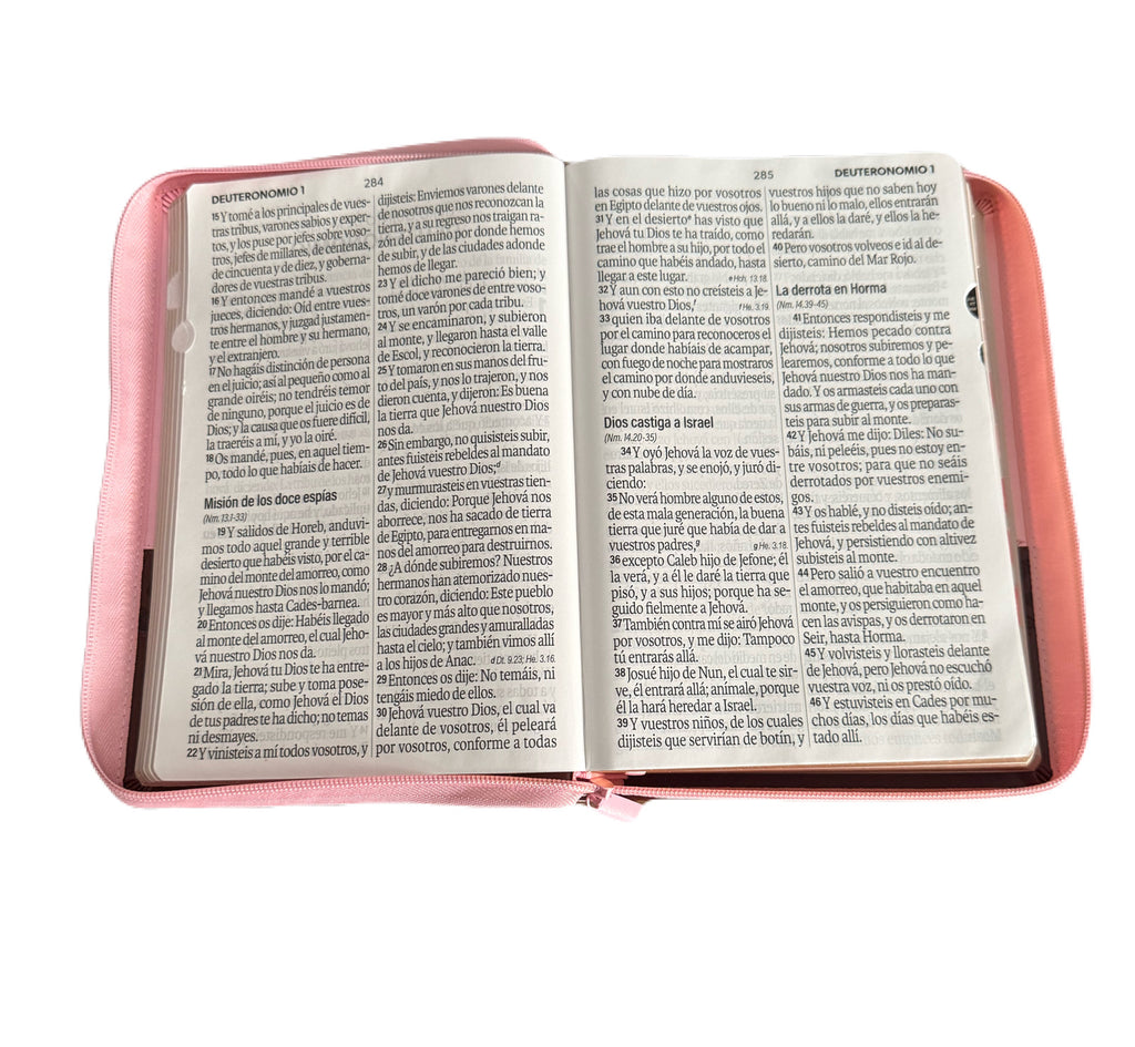 Biblia Letra Super Gigante 19Pt Rosa-Cafe Con Cierre/Indice RV1960