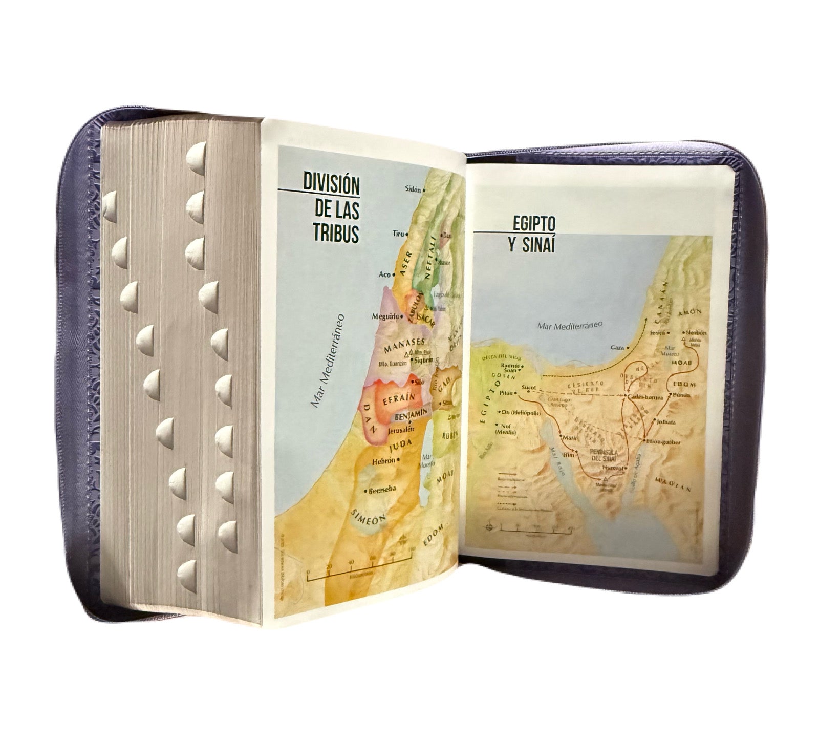 Biblia Letra Súper Gigante 19Pts Con Index Lila/Café Flores Grabadas RV1960