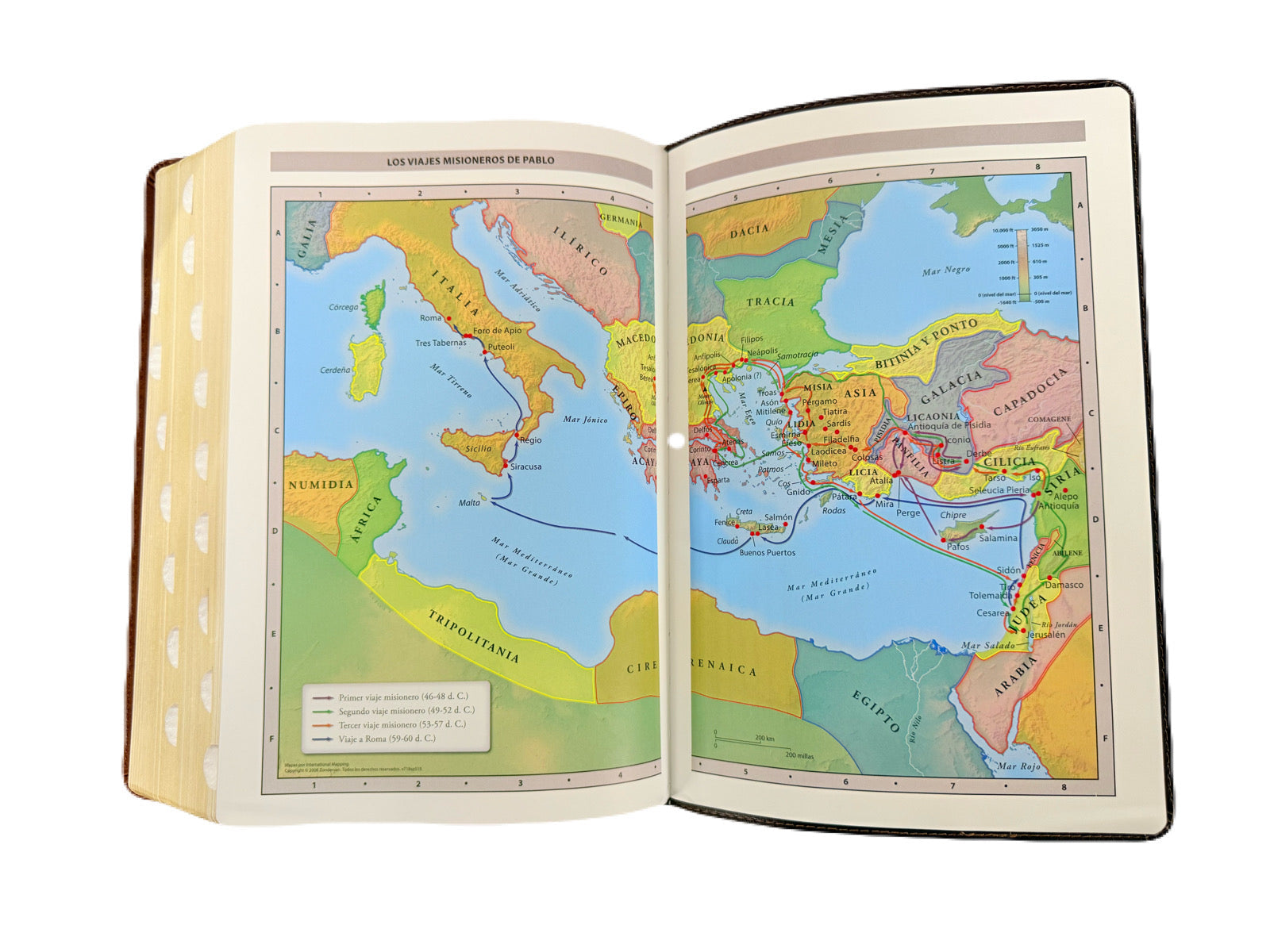 Biblia de Estudio MacArthur NBLA versión de las Américas Café Con Índice