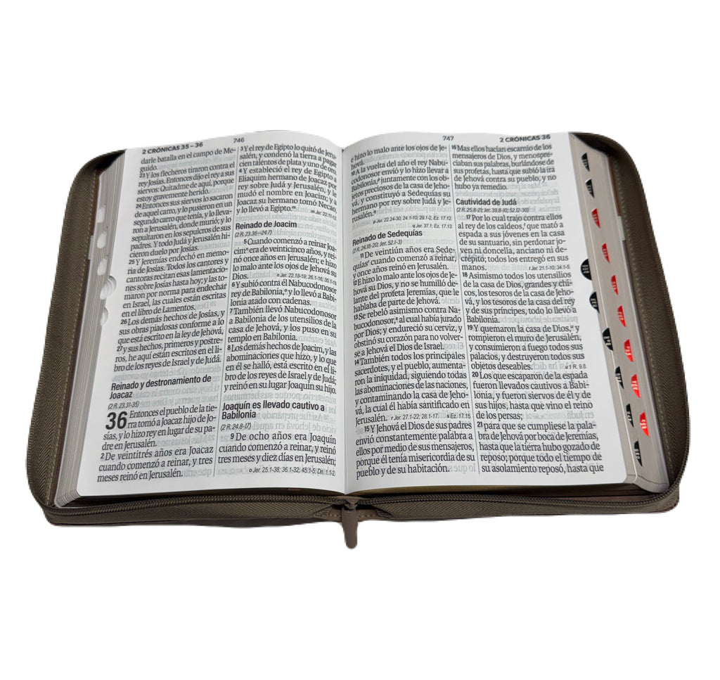 Biblia Letra Súper Gigante 19pts Con Cierre/Index Negro/Café/Beige