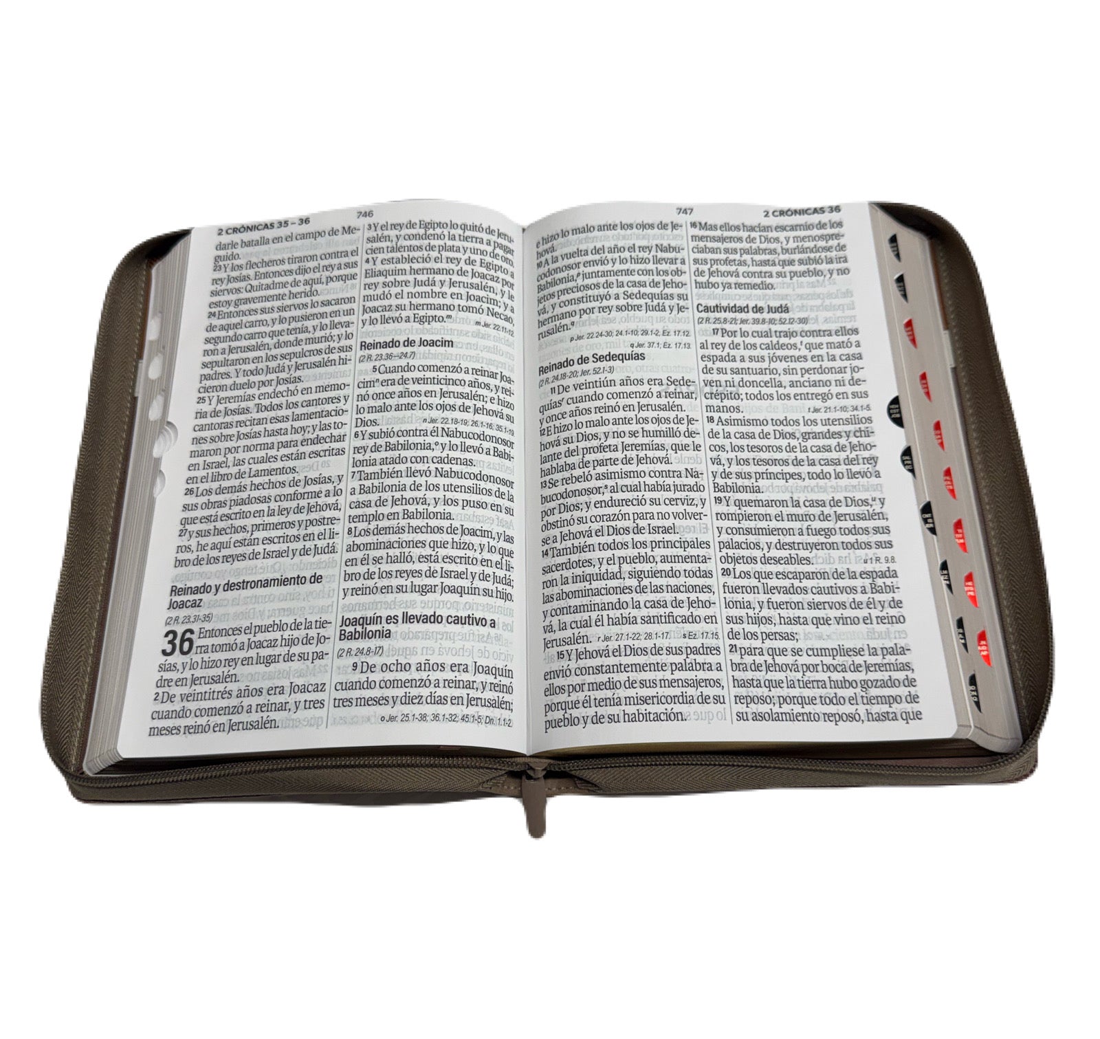 Biblia Letra Súper Gigante 19pts Con Cierre/Index Negro/Café/Beige