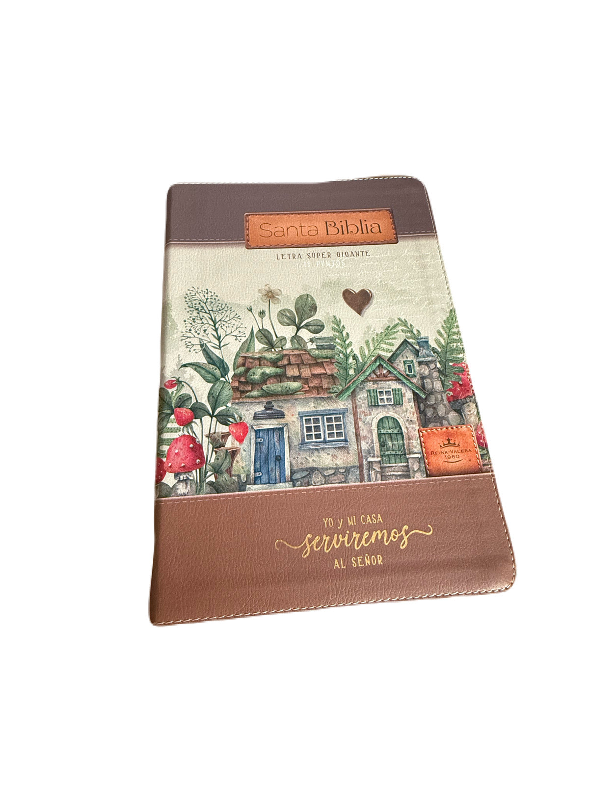 Bibia Letra Super Gigante 19pts Yo Y Mi Casa RV1960