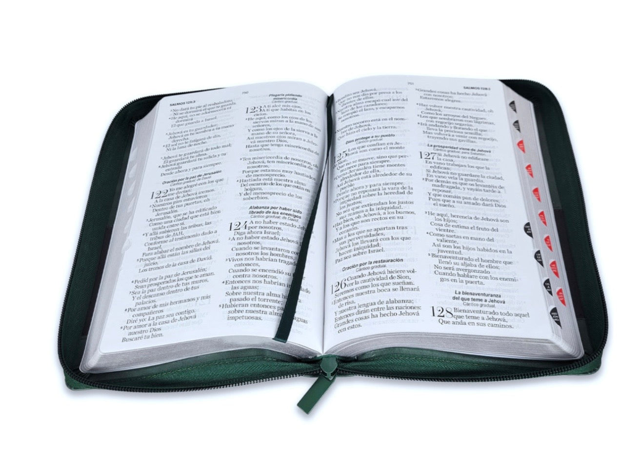 Biblia Letra Grande 12pts Con Cierre/Index RV1960 Verde/Marron Árbol