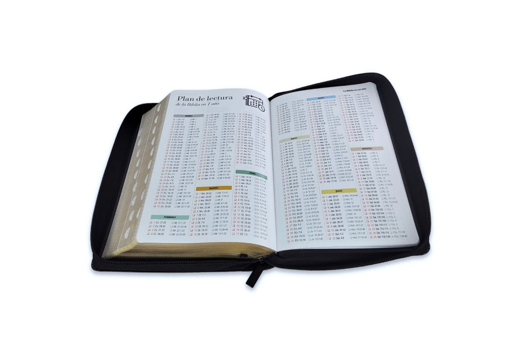 Biblia con Cierre Letra Gigante Manual 14 puntos RV1960 imit piel león y cordero negro con índice