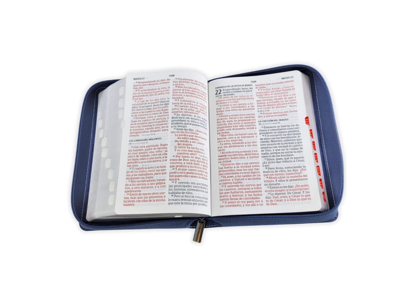 Biblia Compacta con Cierre Letra Grande 11 puntos RV1960, imit piel mezclilla con índice