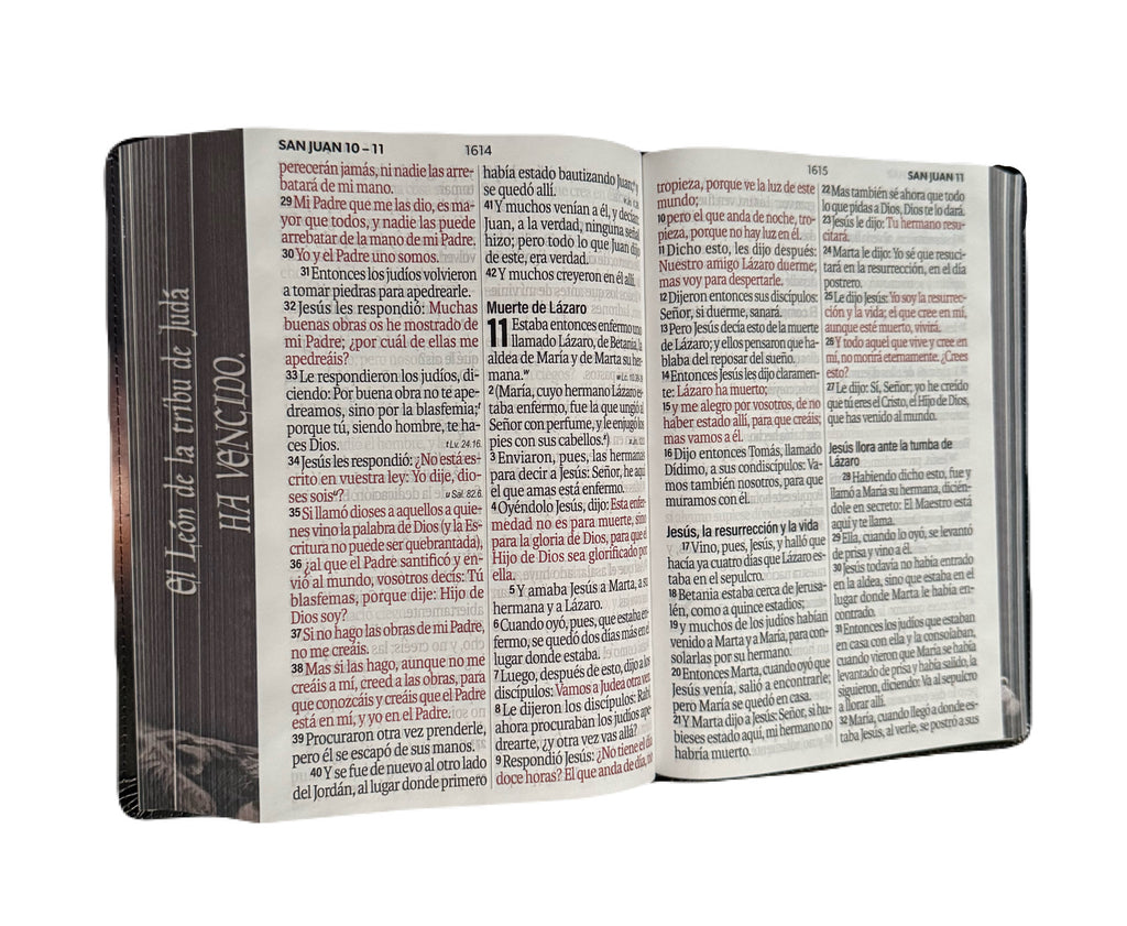 Biblia Letra Súper Gigante 19pts León De Judá