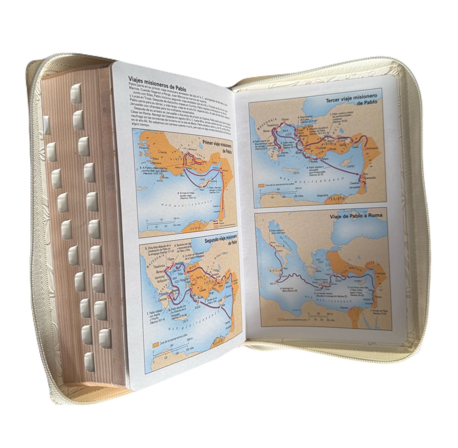 Biblia De Promesas Tamano Manual Letra Grande Blanco Con Indice/Cierre