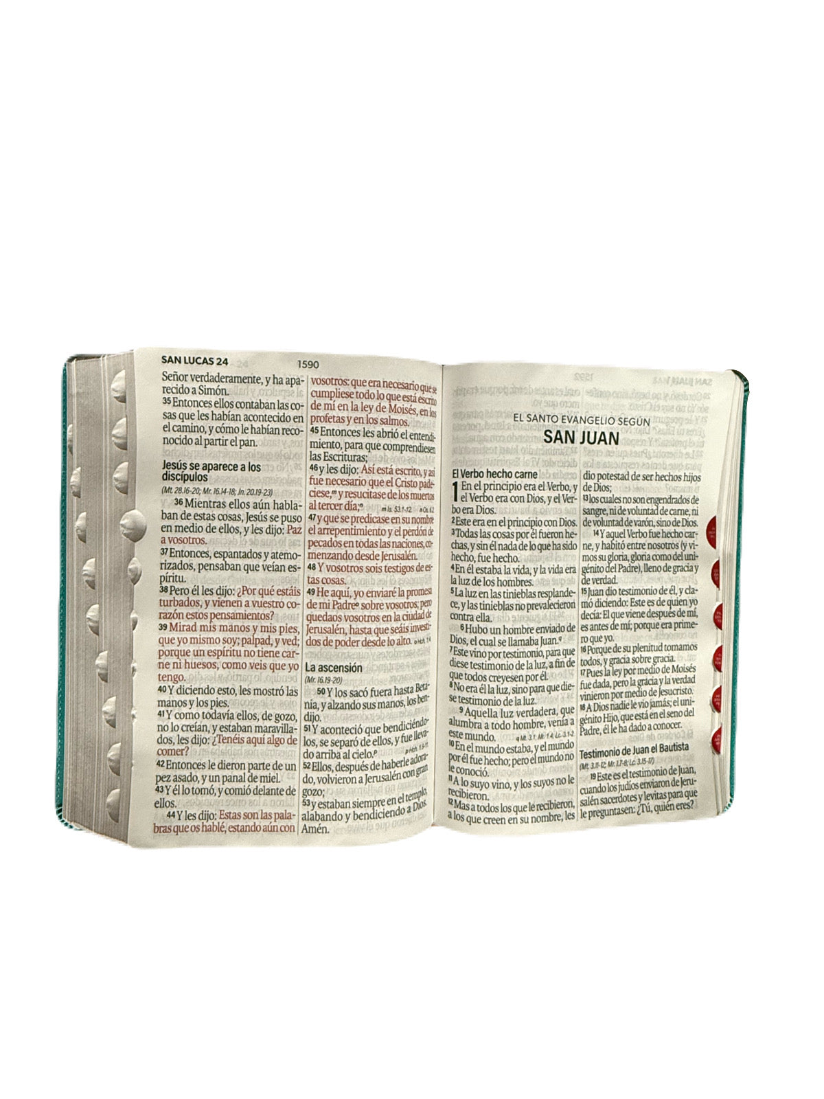 Biblia Letra Súper Gigante 19Pts Con Index Turquesa Floral RV1960