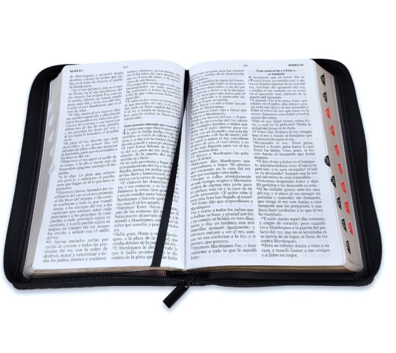 Biblia Letra Grande 12pts Con Cierre/Index RV1960 Vino Arca De La Alianza