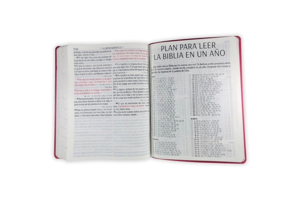 Biblia Letra Supergigante 18 puntos RV1960 imit piel fucsia con índice