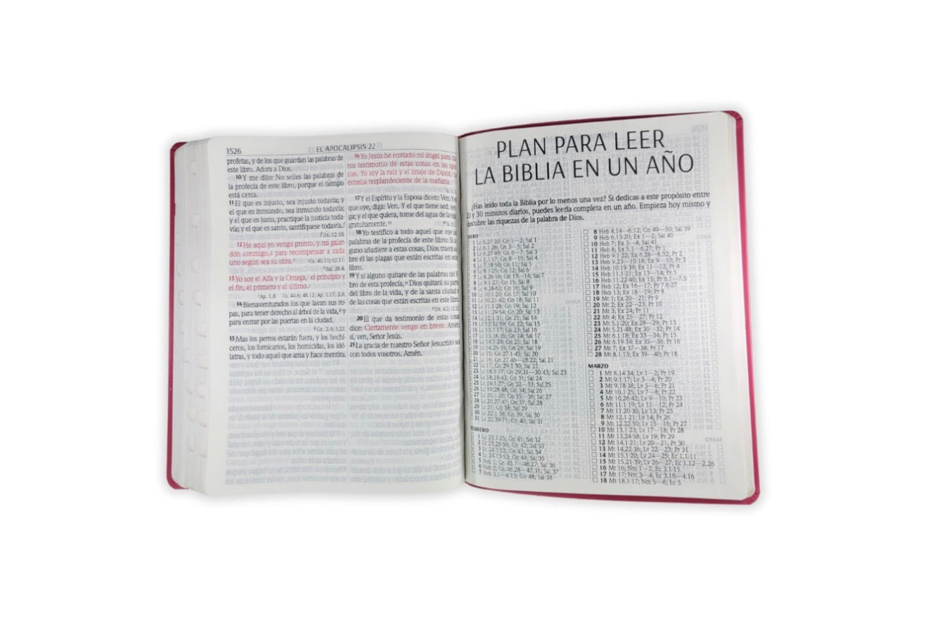 Biblia Letra Supergigante 18 puntos RV1960 imit piel fucsia con índice