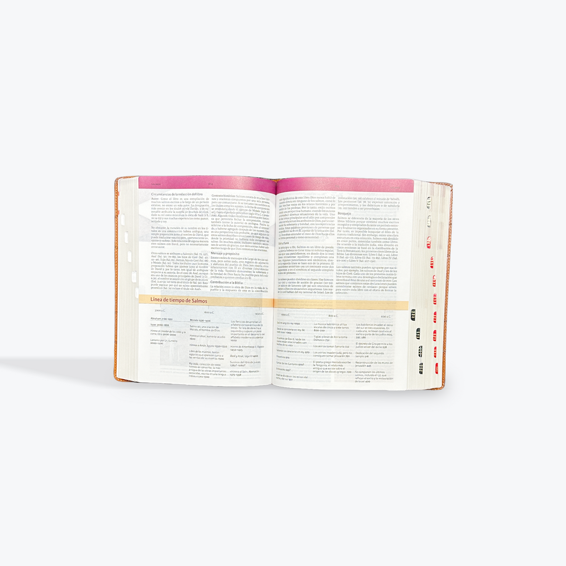 Biblia De Estudio Holman RV1960