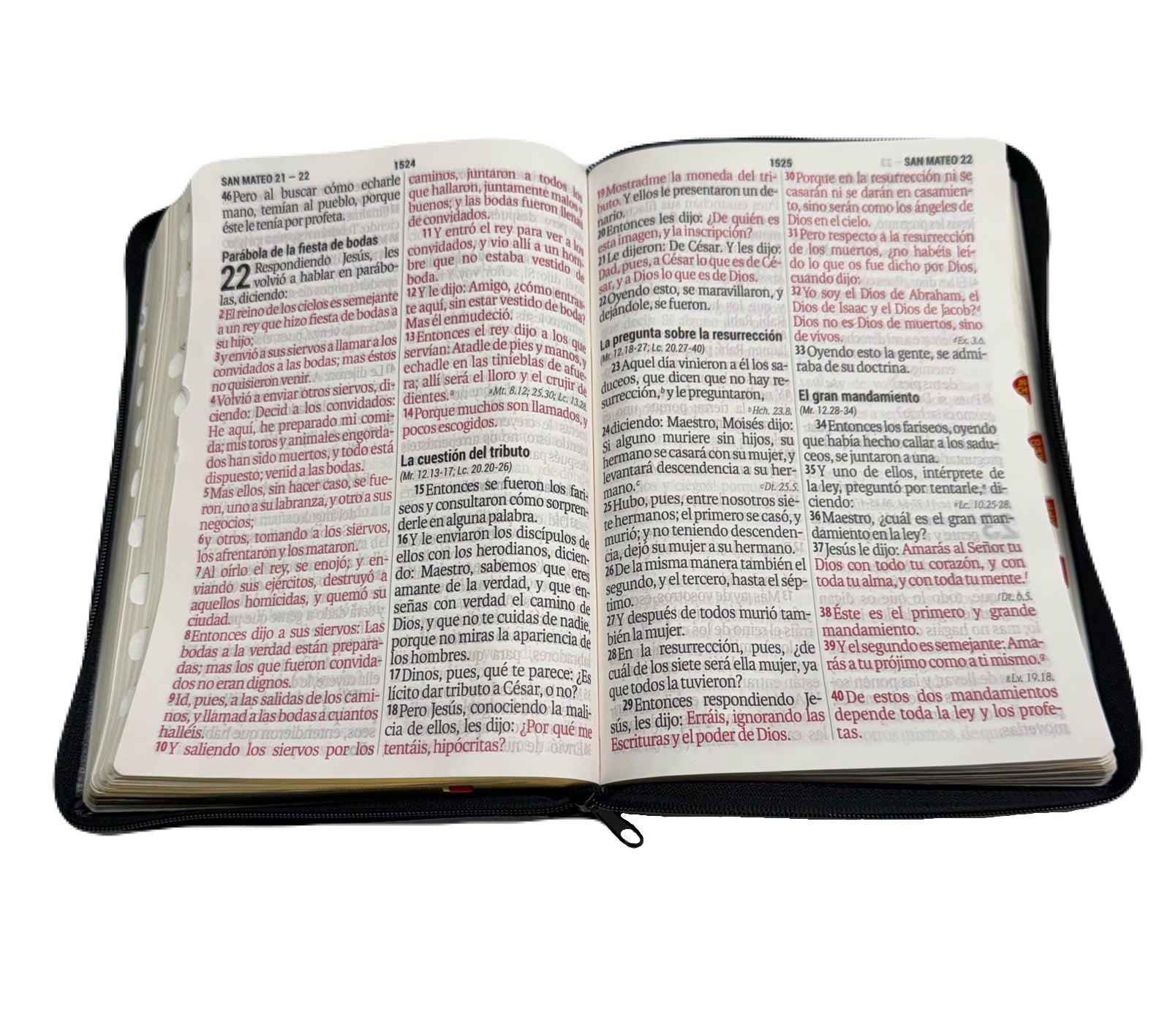 Biblia Letra Súper Gigante 19pts Con Cierre/Index Negro