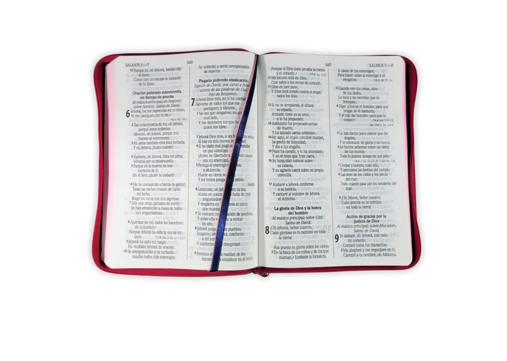 Biblia Jean Letra Gigante 14 puntos con cierre RV1960 tela jean - fucsia