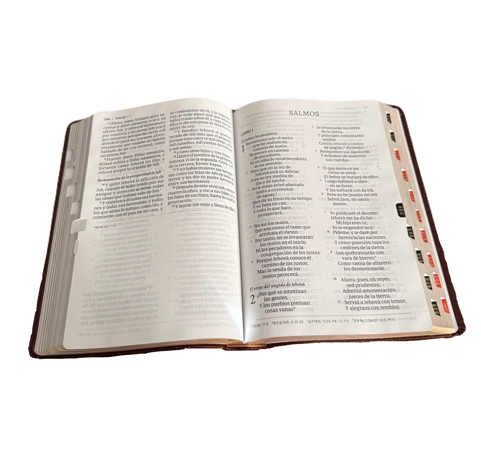 Biblia Letra Supergigante 16 Pts Con Indice, Marron Piel Fabricada RV1960