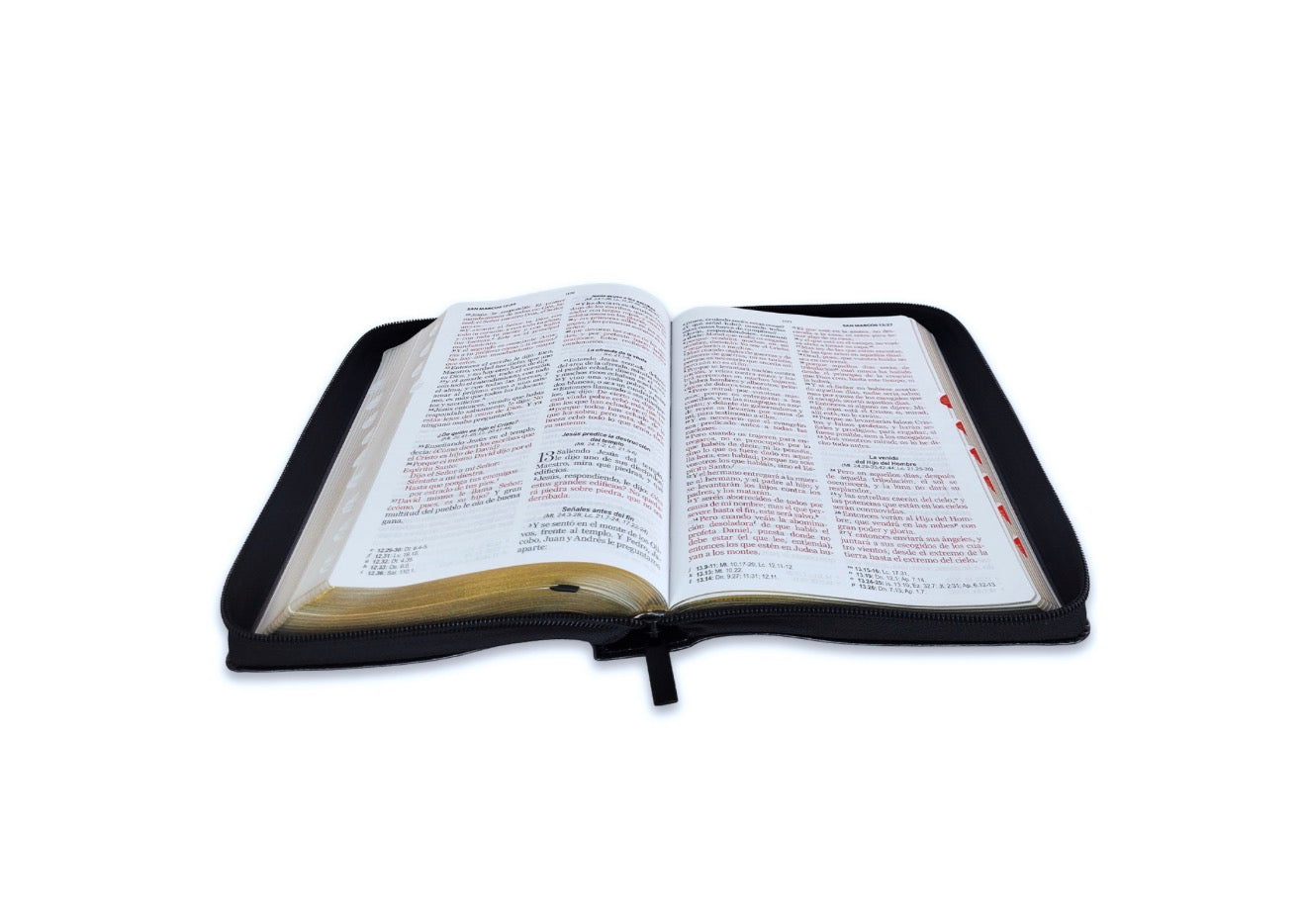 Biblia con Cierre Letra Grande 12 puntos RV1960 imit piel negro águila con índice