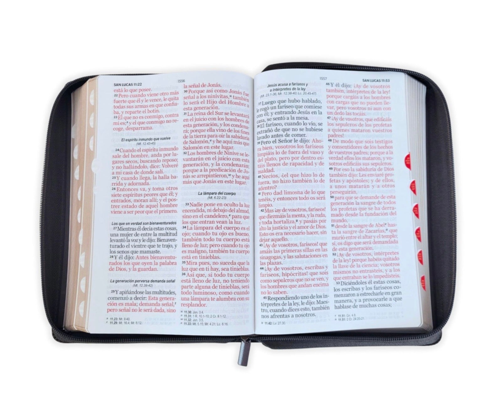 Biblia Letra Gigante 14pts Con Cierre/Index RV1960 Arca De La Alianza