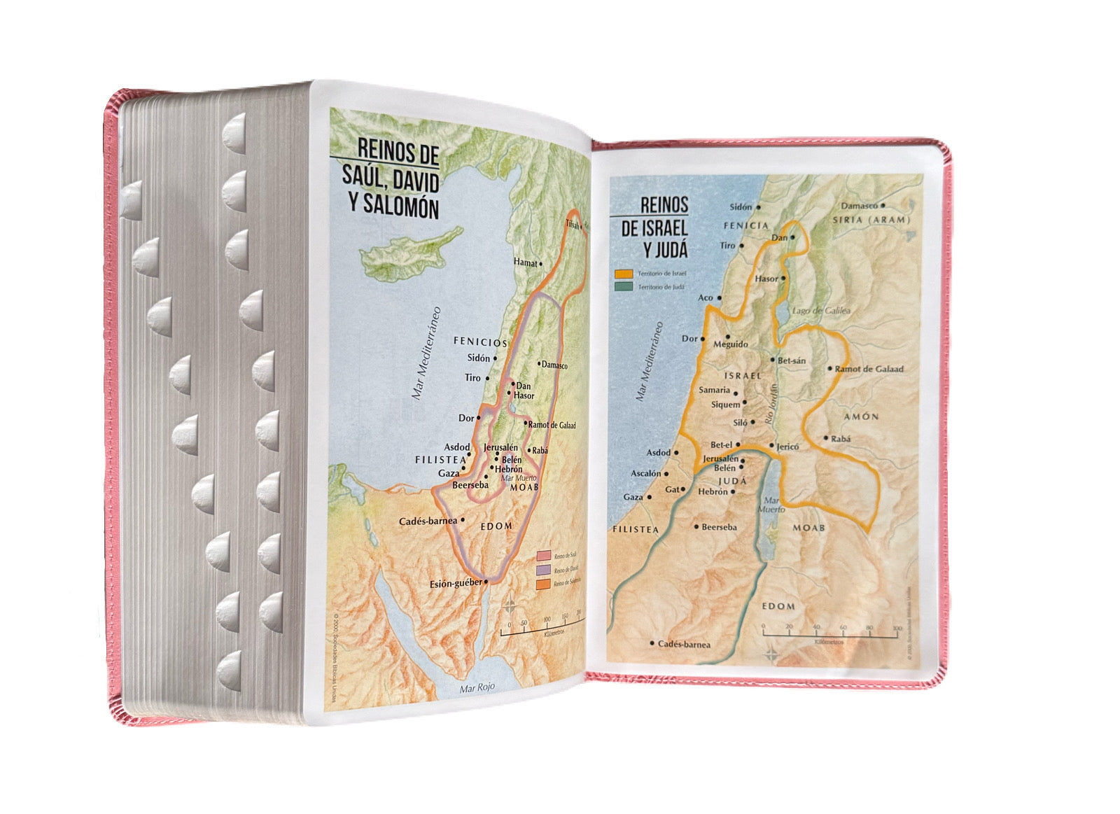 Biblia Letra Súper Gigante 19Pts Con Index Rosa Floral RV1960