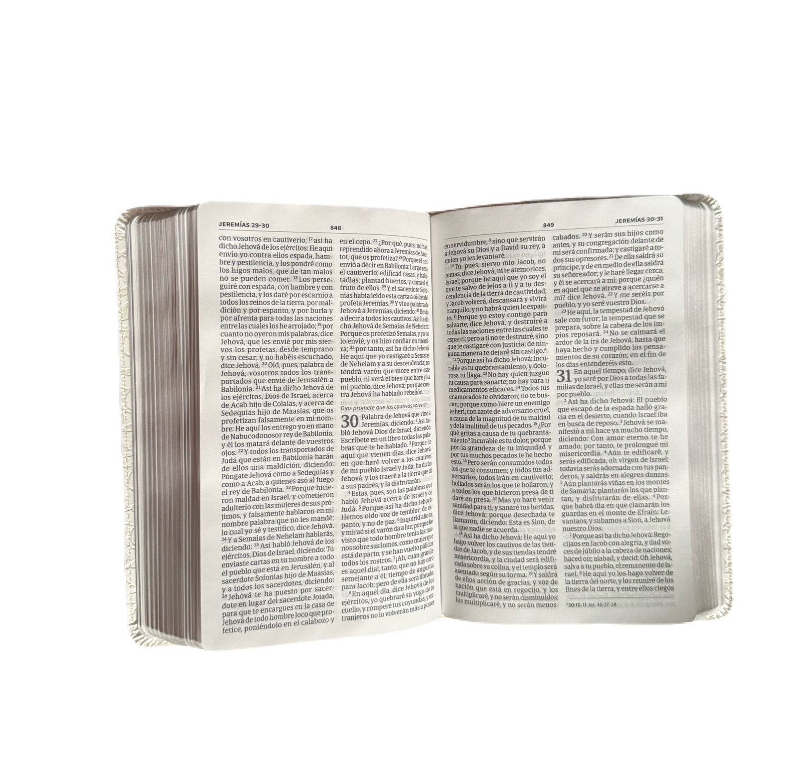 Santa Biblia 8Pts De Boda Filigrana Blanca/Rosa Palo