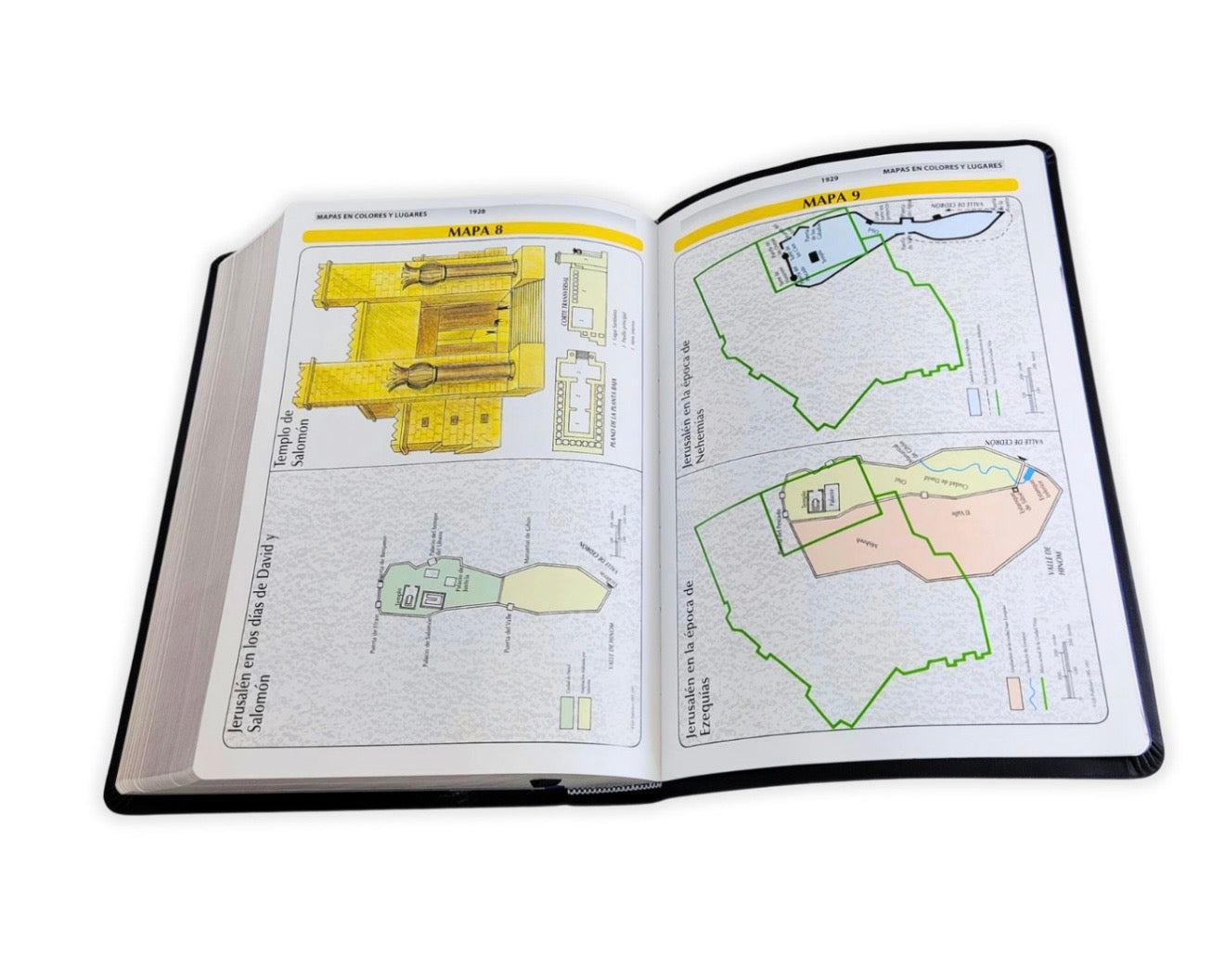 Biblia de Estudio de la Vida Plena RV1960, Imitación piel negra