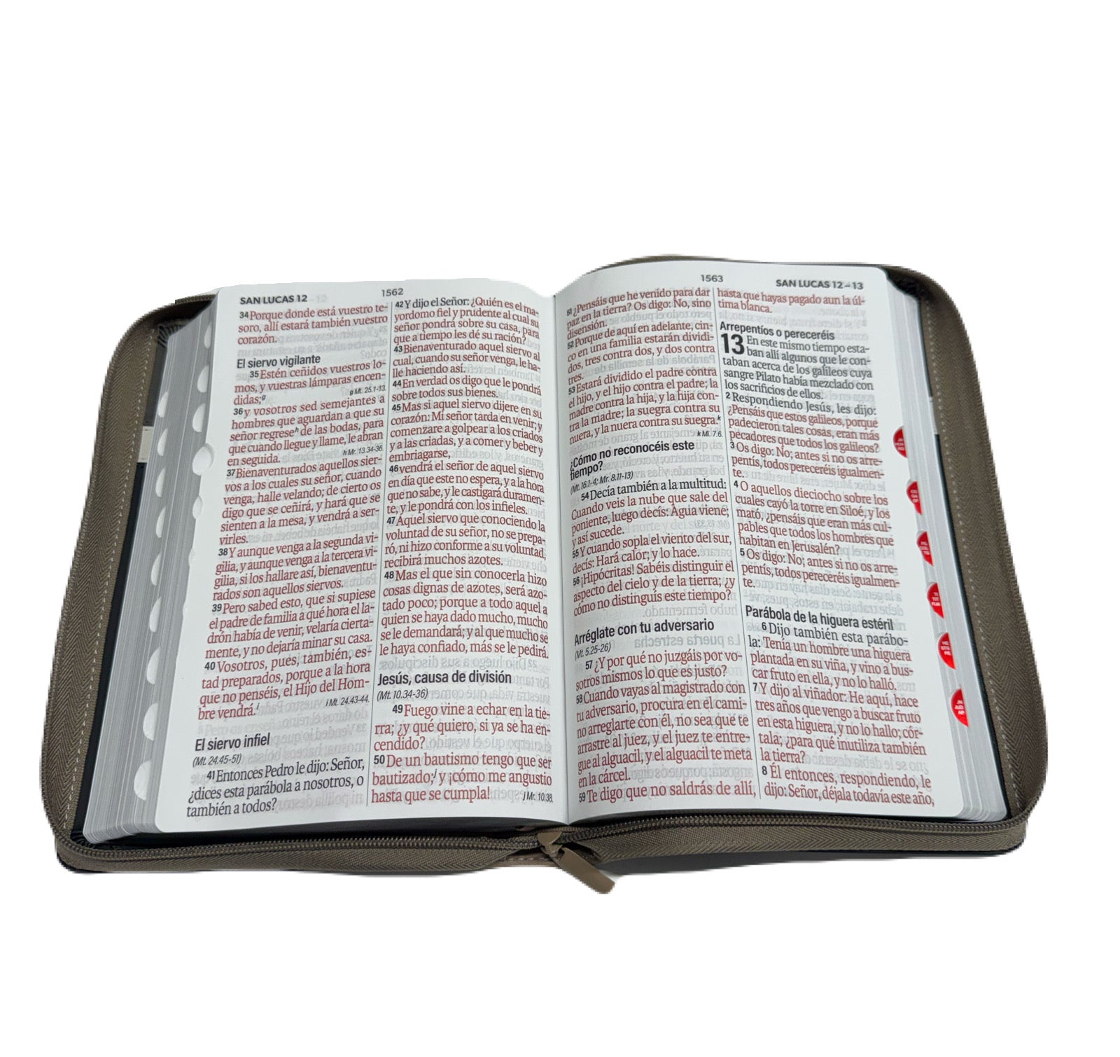 Biblia Letra Súper Gigante 19pts Con Cierre/Index Tech Dot Negro/Café/Beige