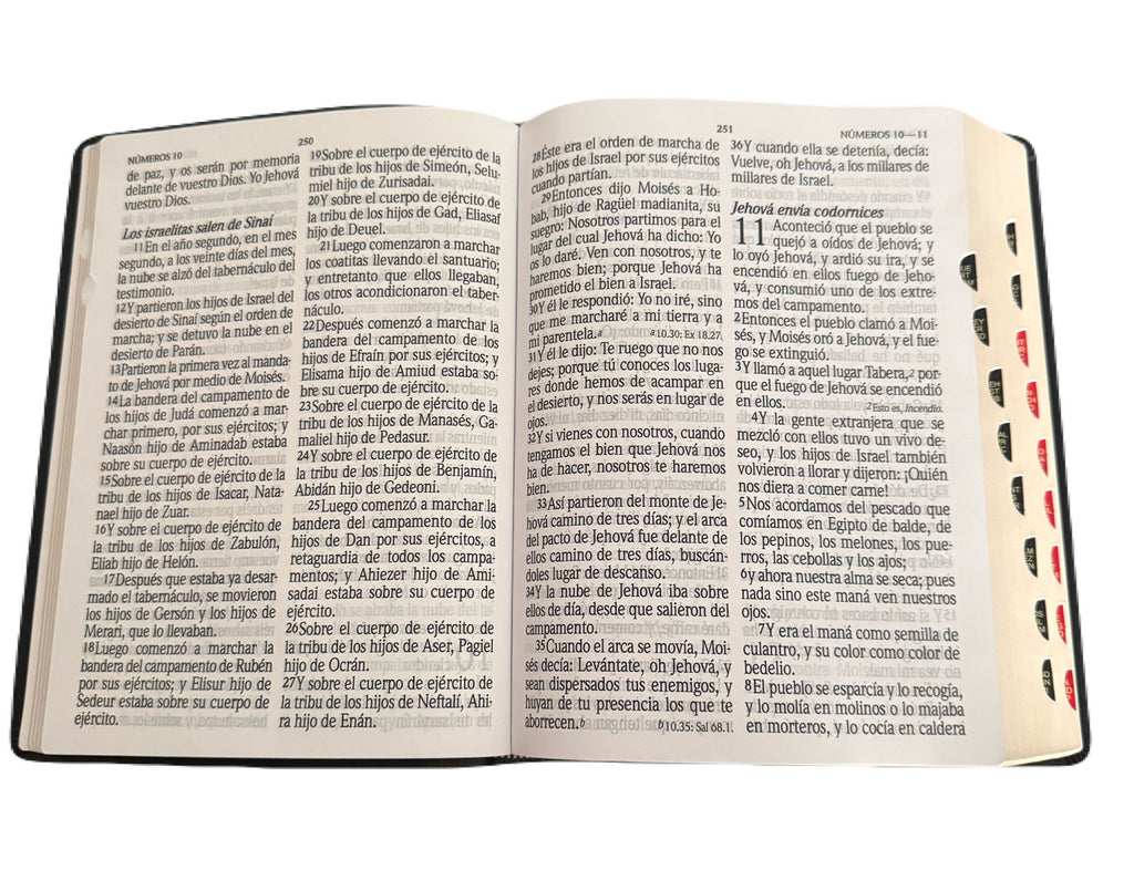 Biblia Letra Super Gigante 18 Puntos Con Indice RV1960