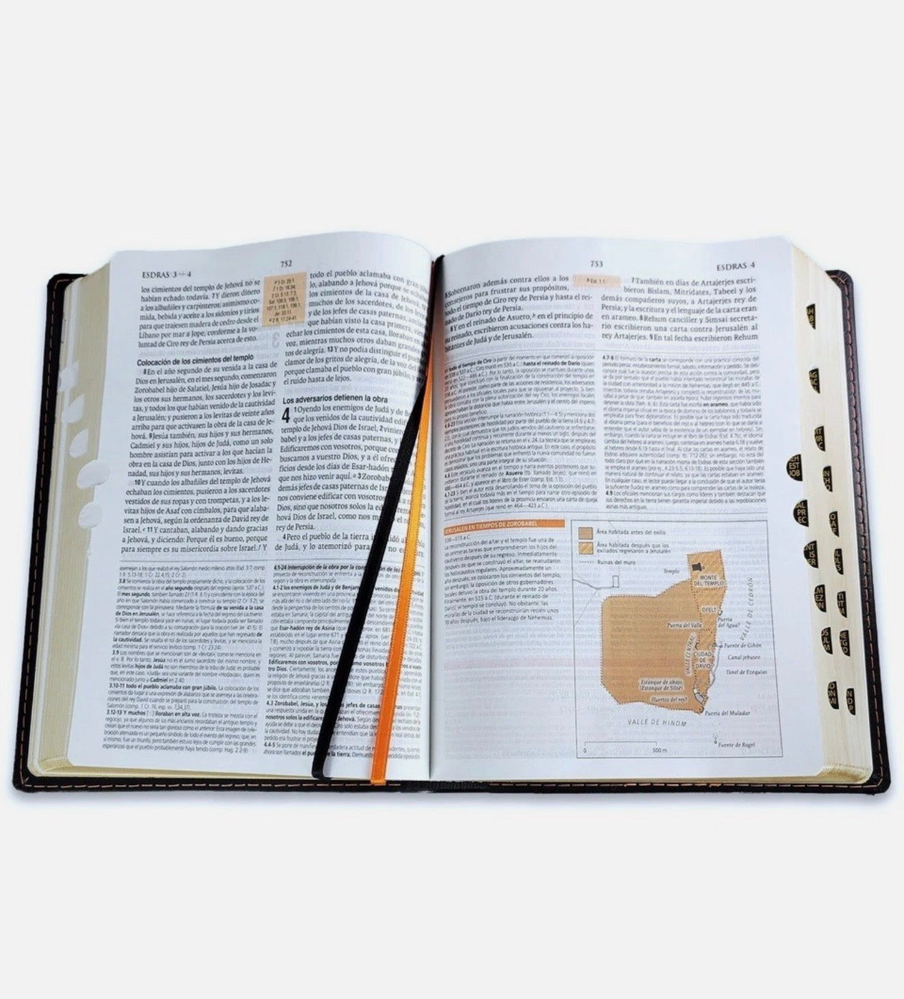 Biblia De Estudio Teológico Negro con Índice RV 1960