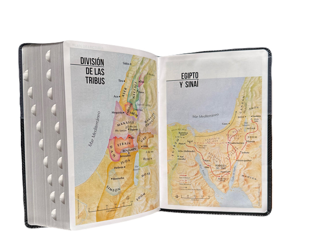 Biblia Letra Súper Gigante 19pts Con Index