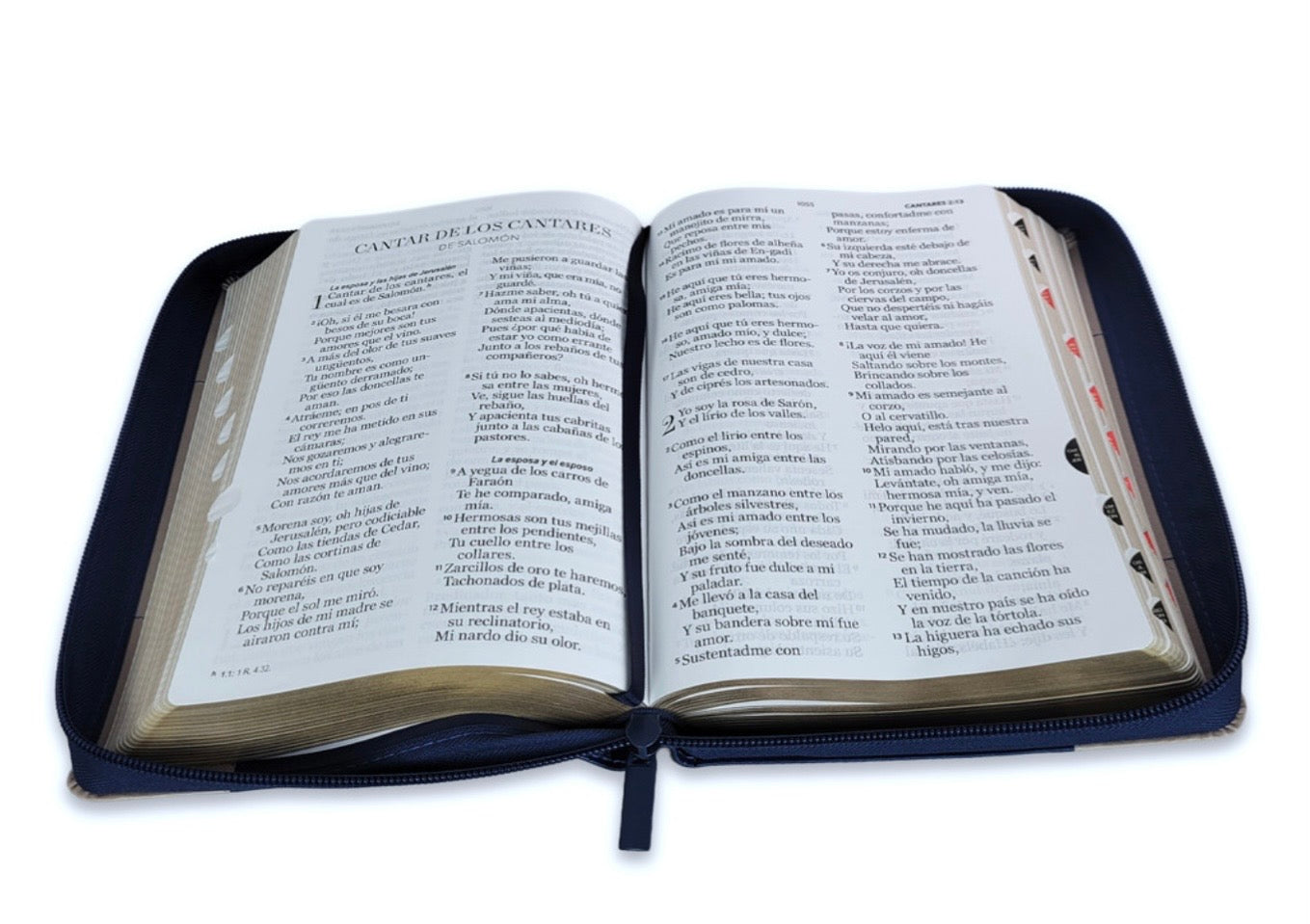 Biblia Letra Gigante 14pts Con Cierre/Index RV1960 Azul Navy/ Crema