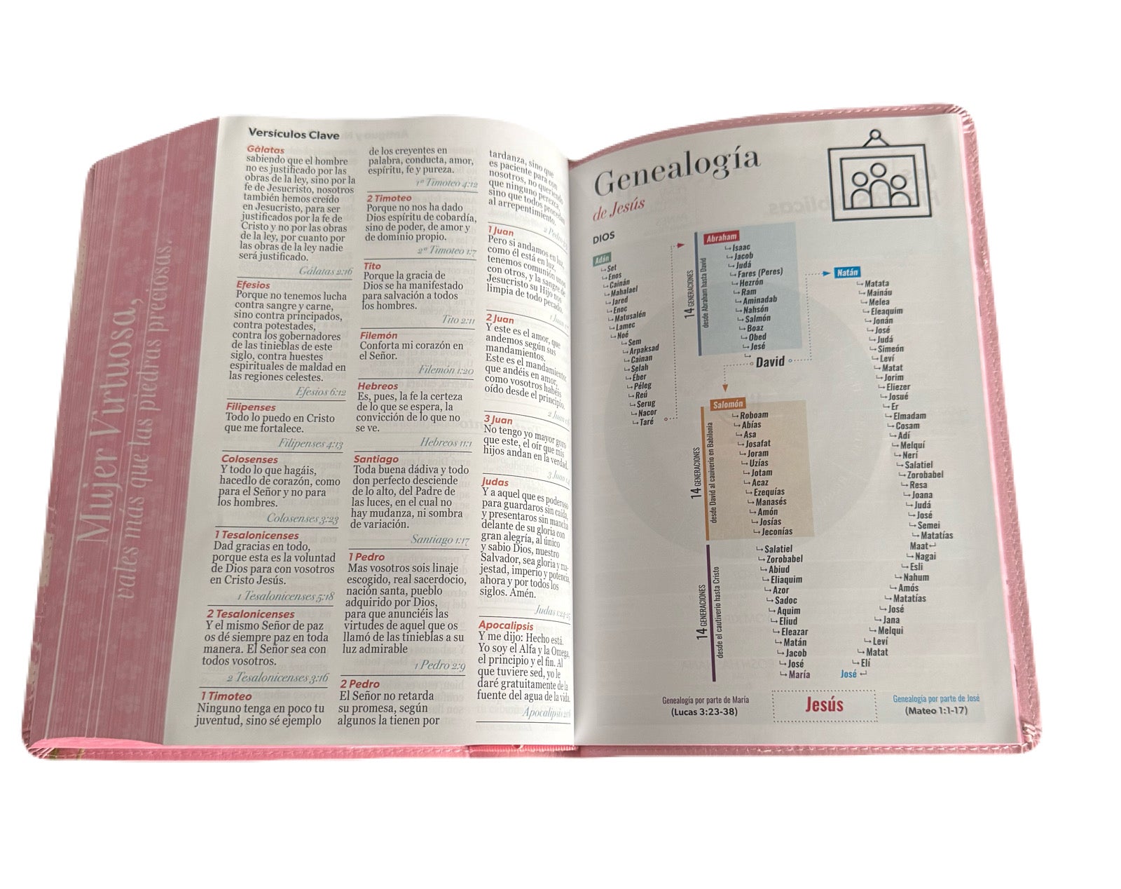 Biblia Letra Super Gigante 19Pt Floral Mujer Virtuosa RV1960