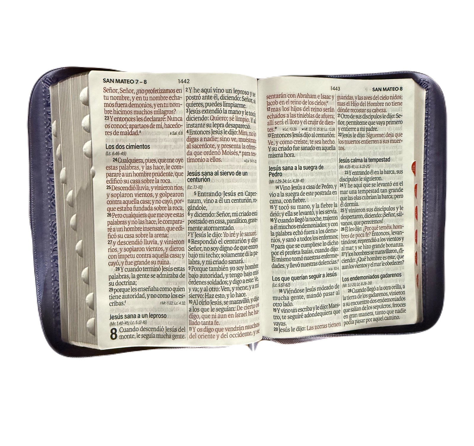 Biblia Letra Súper Gigante 19Pts Con Index Lila/Café Flores Grabadas RV1960