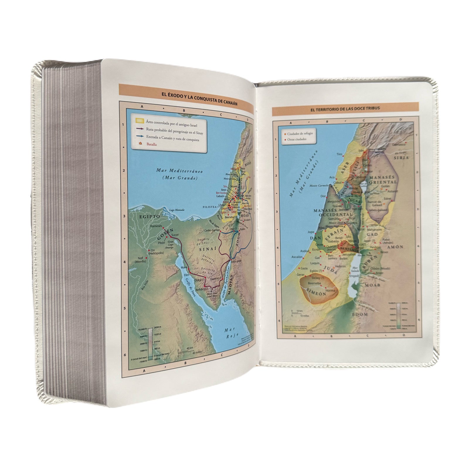 Biblia Blanca UltraFina Letra Grande RV1960