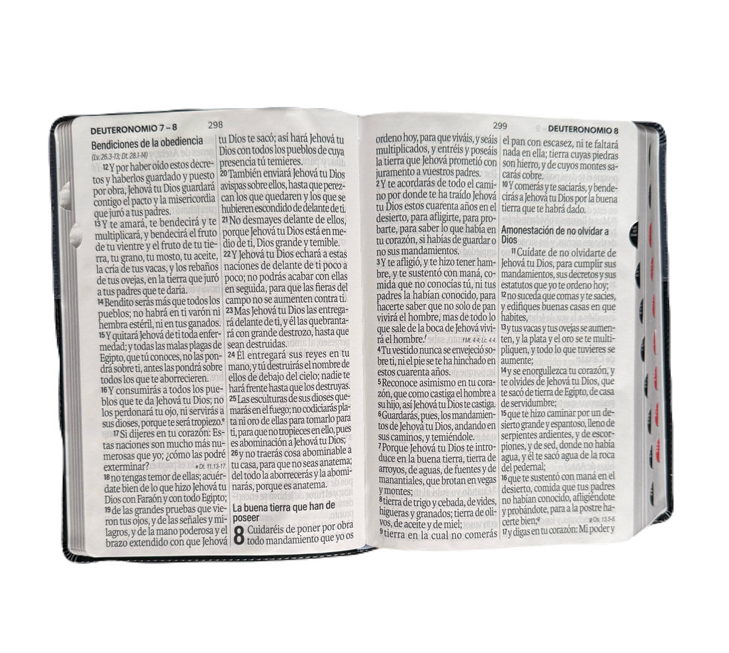 Biblia Letra Súper Gigante 19pts Con Index