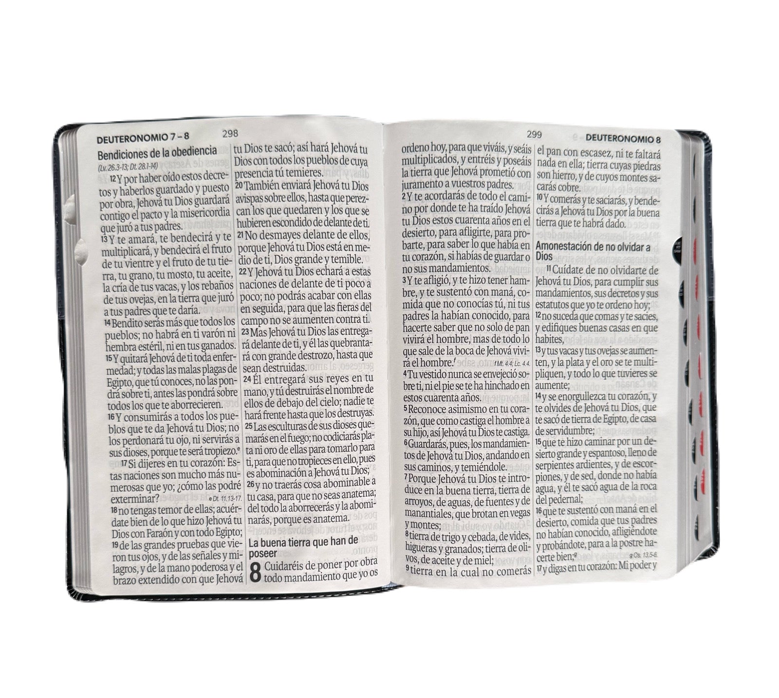 Biblia Letra Súper Gigante 19pts Con Index