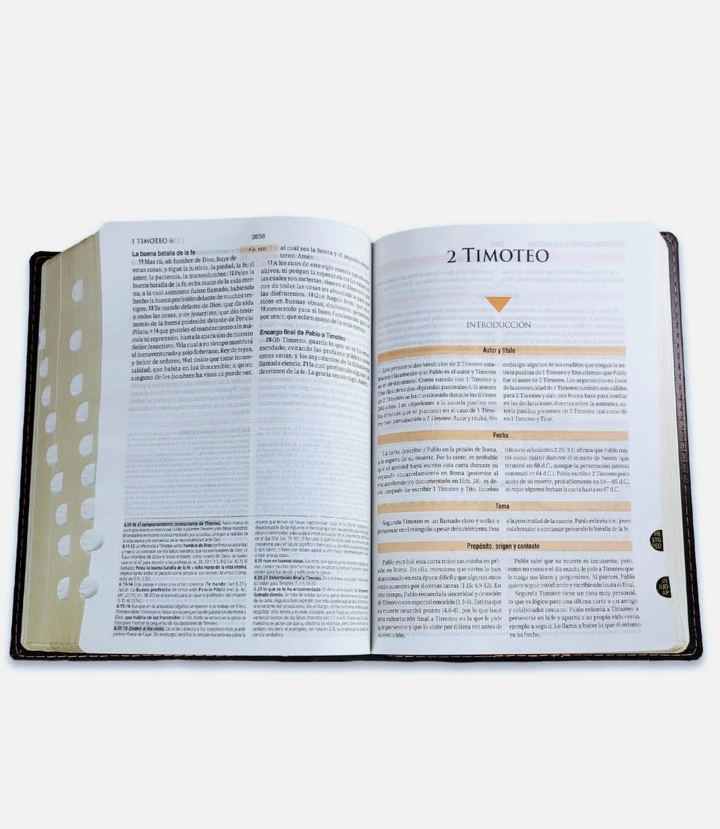 Biblia De Estudio Teológico Negro con Índice RV 1960