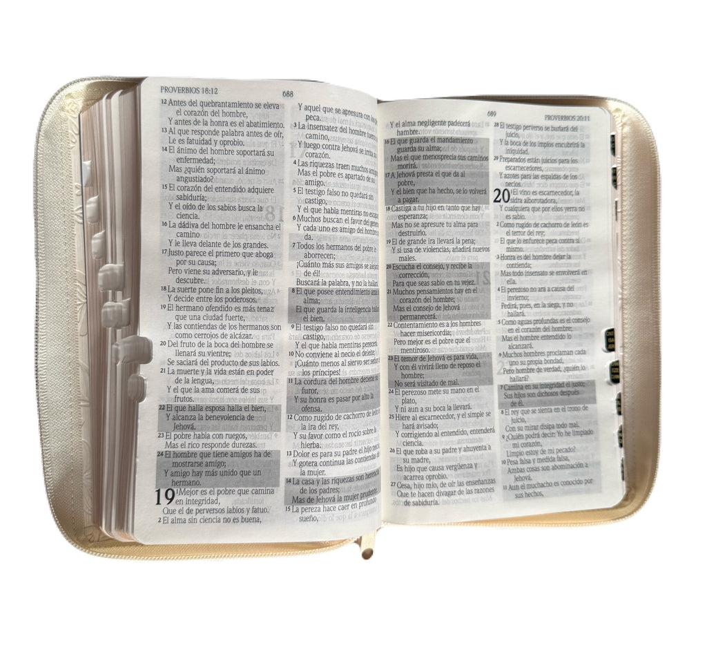Biblia De Promesas Tamano Manual Letra Grande Blanco Con Indice/Cierre