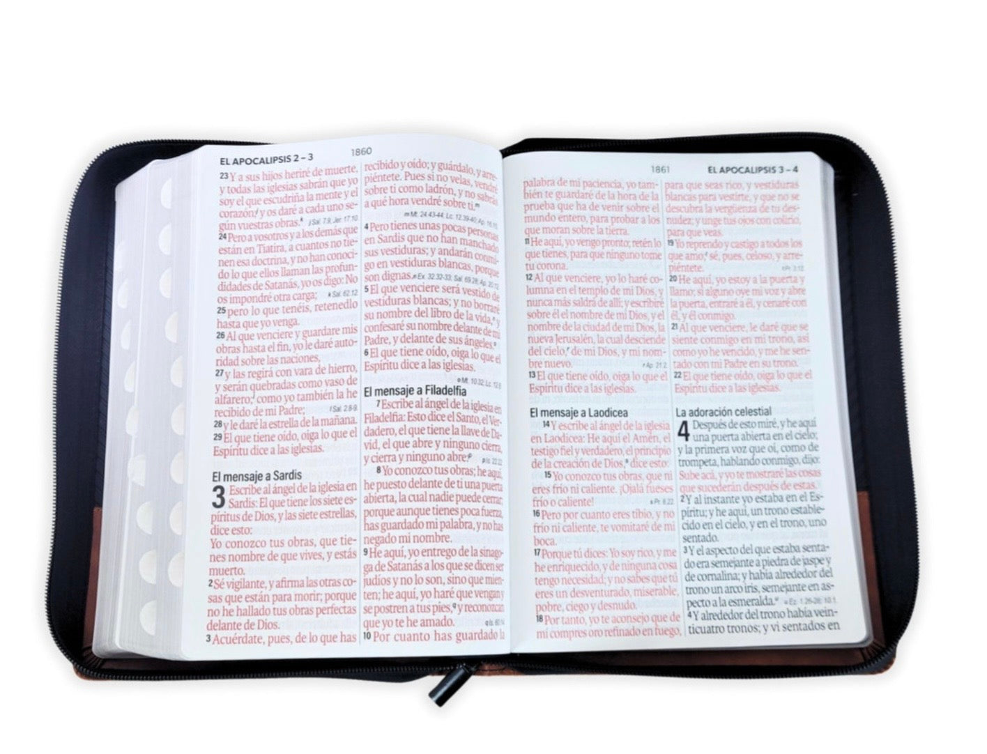 Biblia Letra Súper Gigante 19pts Con Cierre/Index Negro Geométrico/Café RV1960