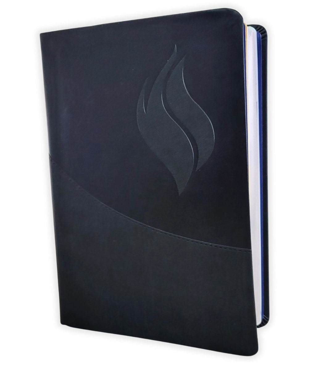 Biblia de Estudio de la Vida Plena RV1960, Imitación piel negra