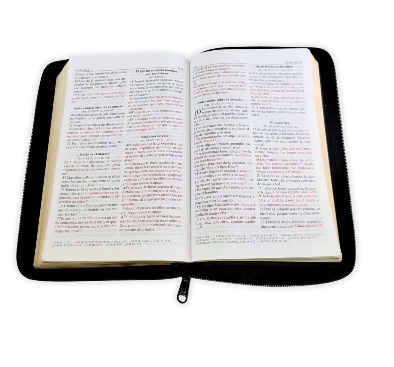 Biblia con Cierre Letra Grande RV1960, imit. piel, manual negro