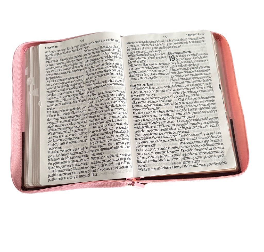 Biblia Letra Super Gigante 19Pt Rosa-Cafe Con Cierre/Indice RV1960