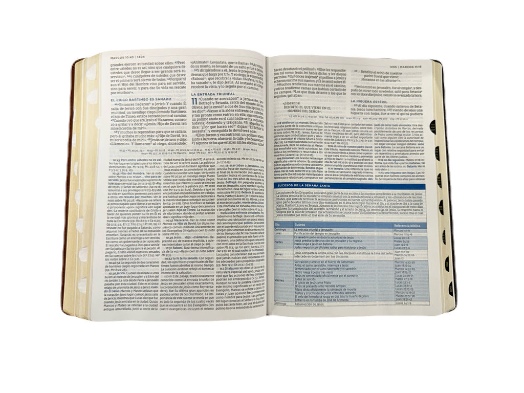 Biblia de Estudio MacArthur NBLA versión de las Américas Café Con Índice