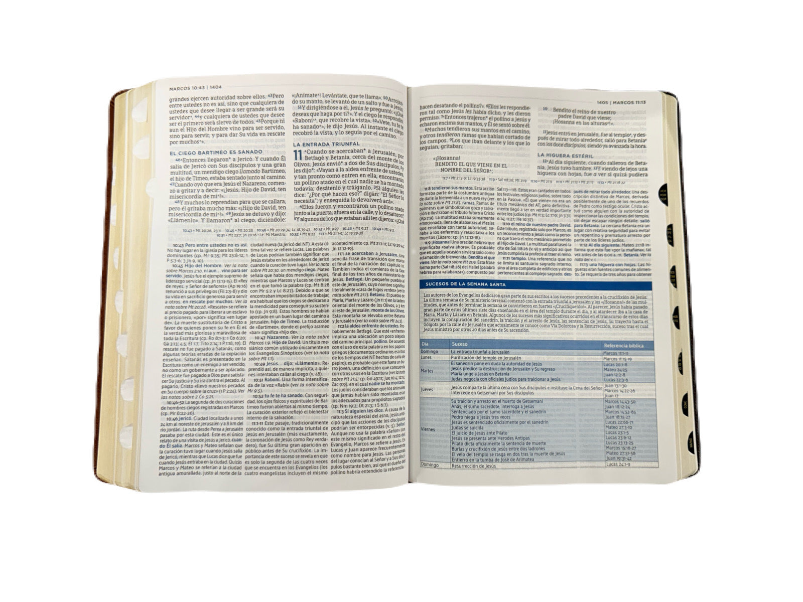 Biblia de Estudio MacArthur NBLA versión de las Américas Café Con Índice