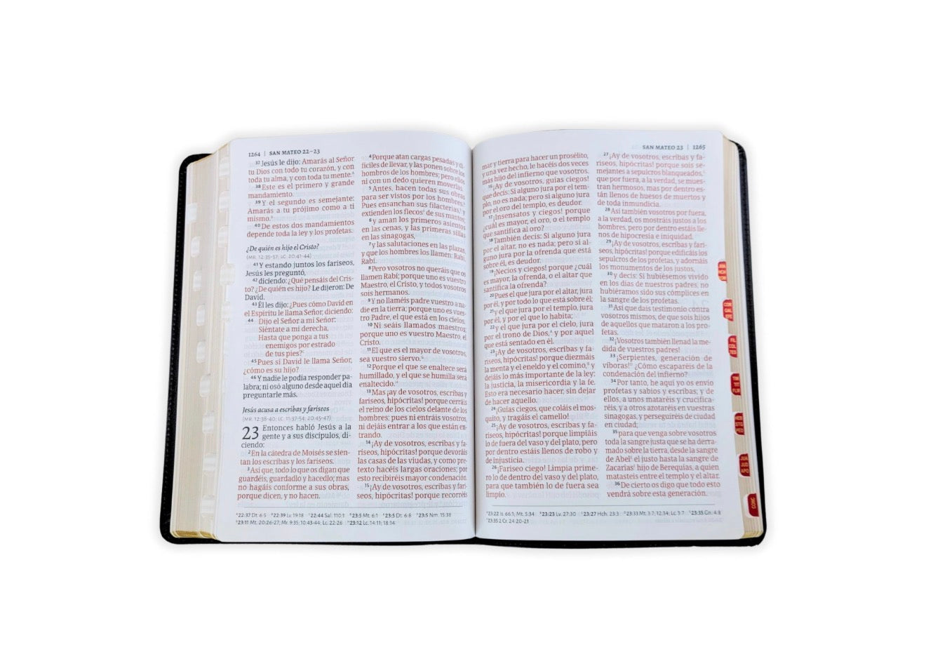 Biblia Letra Gigante RV1960, imit piel negro con índice