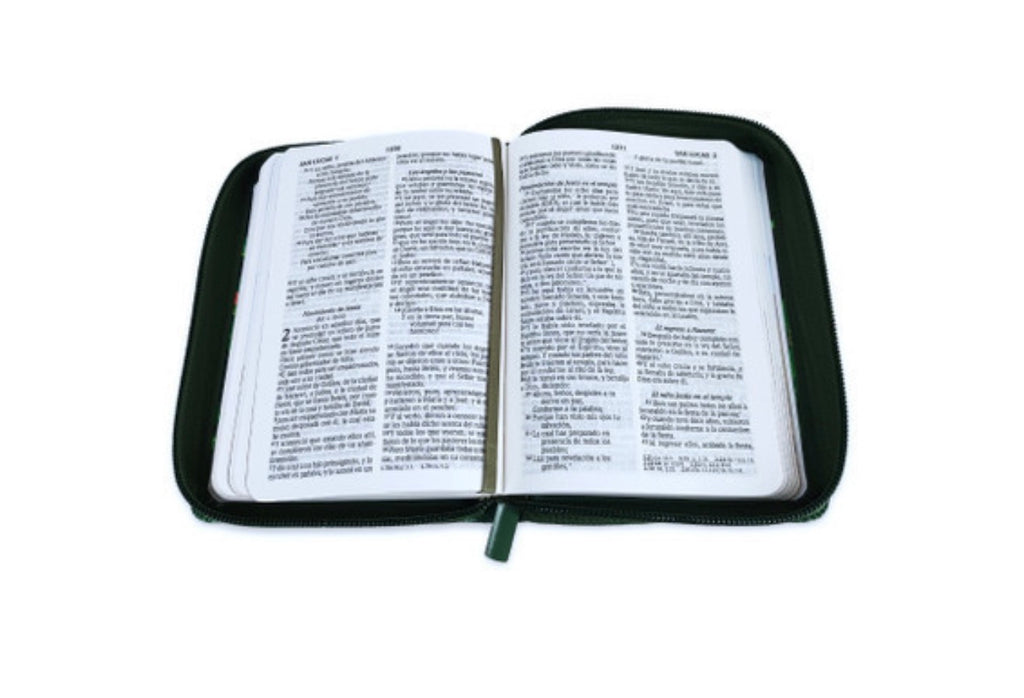 Biblia Compacta con Cierre para Niños RV1960 imit piel arca