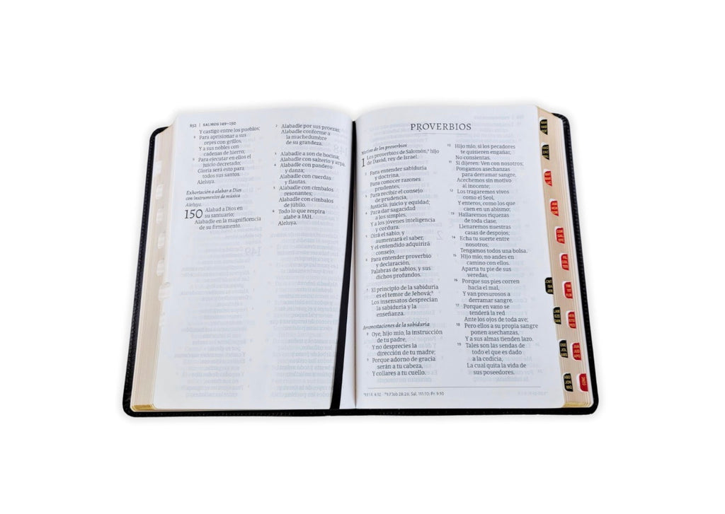 Biblia Letra Gigante RV1960, imit piel negro con índice