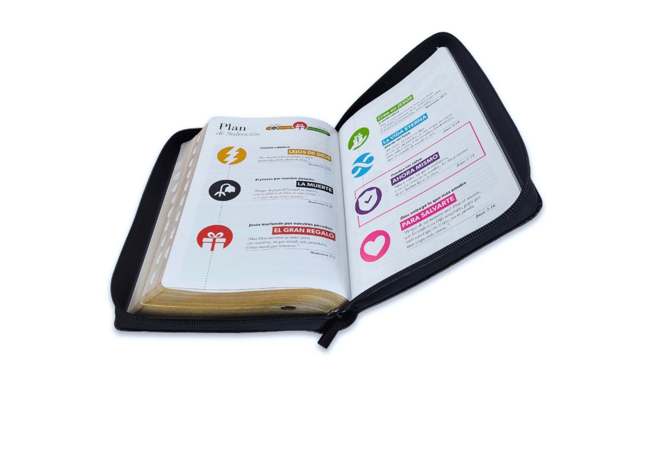 Biblia con Cierre Letra Grande 12 puntos RV1960 imit piel negro águila con índice