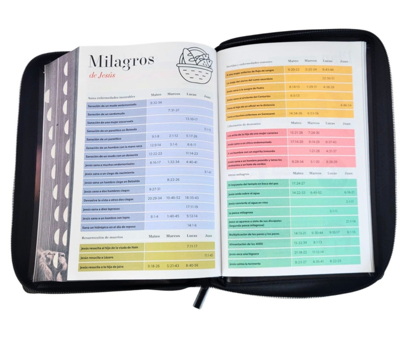 Biblia Letra Súper Gigante 19pts Con Cierre/Index Léon De Judá RV1960